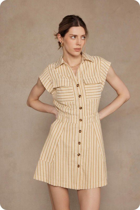 Wendy's Stripe Mini Dress