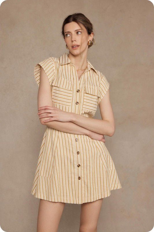 Wendy's Stripe Mini Dress